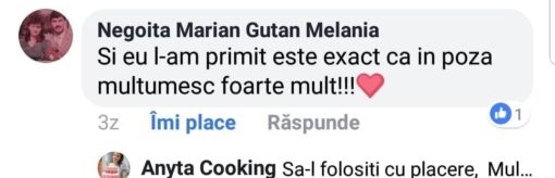 Set Profesional cu 38 de Duze-Duiuri pentru Ornat și Decorat - Anyta Cooking -Transport Gratis