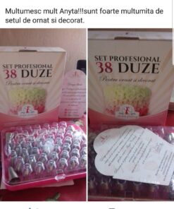 Set Profesional cu 38 de Duze-Duiuri pentru Ornat și Decorat - Anyta Cooking -Transport Gratis