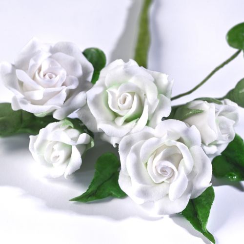 Pasta modelare flori-WHITE -250 gr-Renshaw