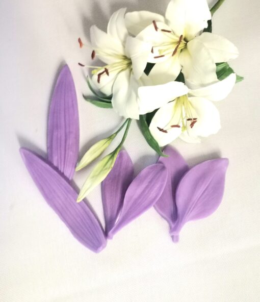 Set Veinere Modelare Floare Crin