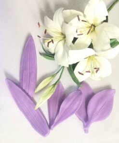 Set Veinere Modelare Floare Crin